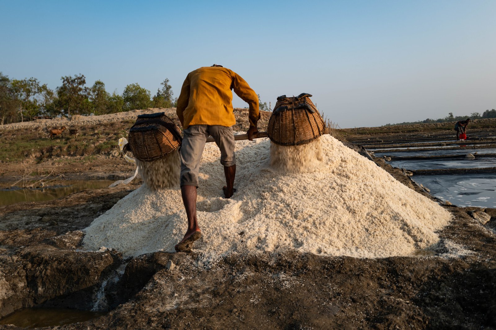 salt worker